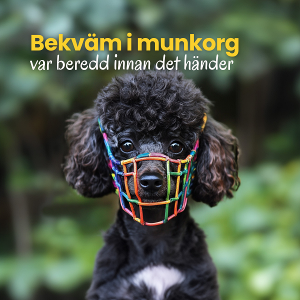 Bekväm i munkorg