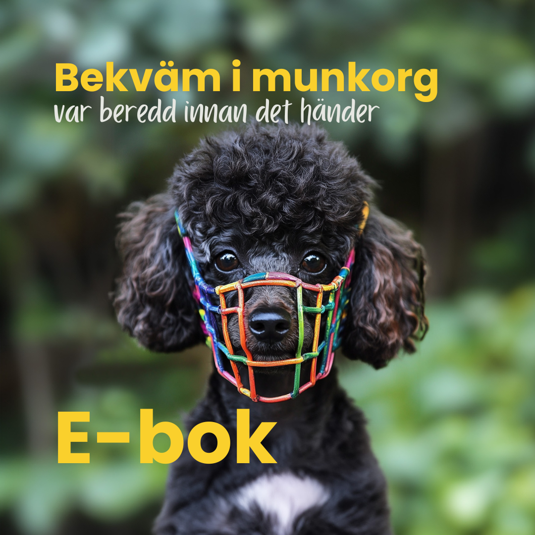 Produkter i valpliv och vidare