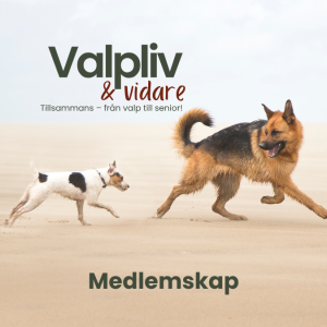 Produkter i valpliv och vidare (2)