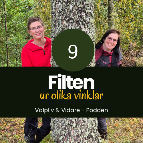 Filten