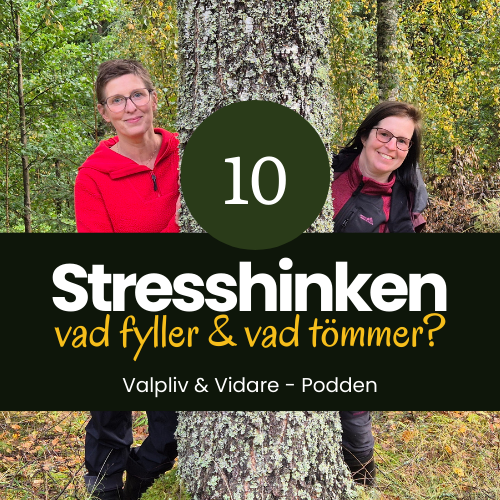 Stresshinken, vad fyller & vad tömmer?