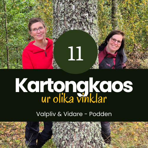Kartongkaos