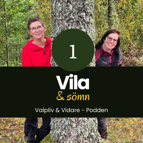 Vila & Sömn