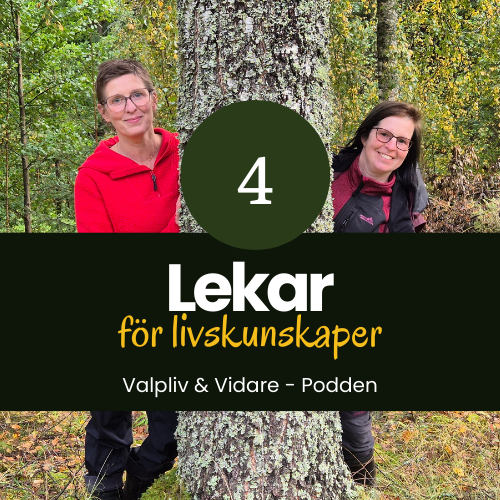 Lekar för livskunskaper