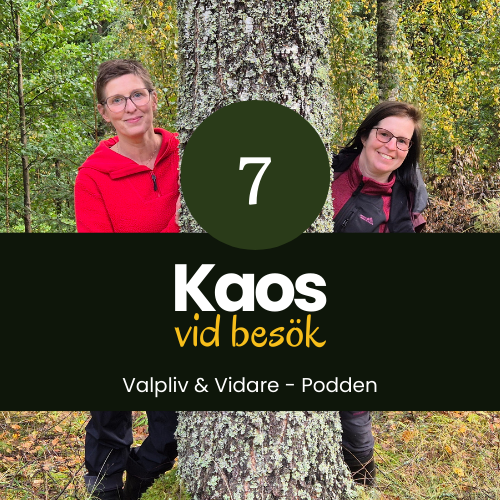 Kaos vid besök