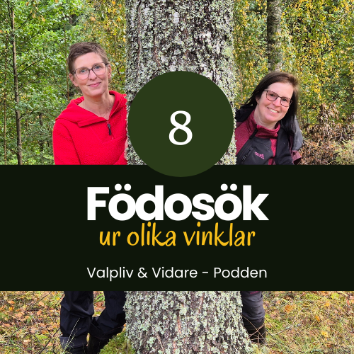 Födosök ur olika vinklar