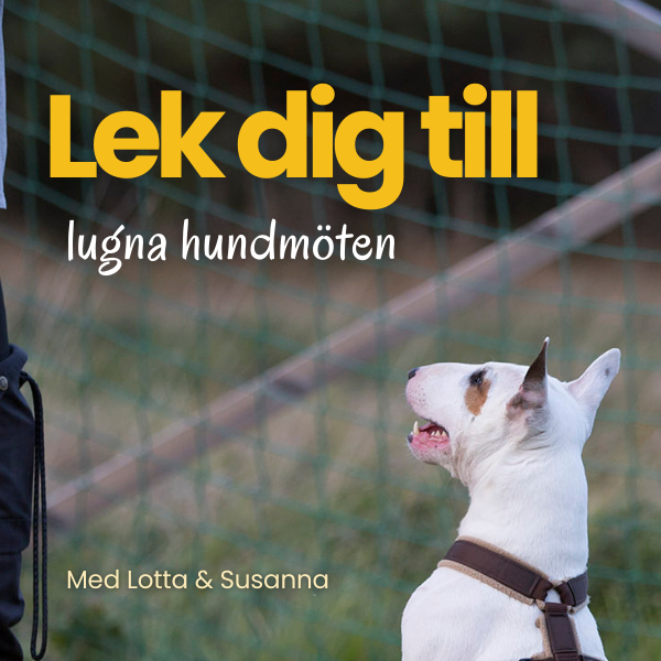 Lekdig