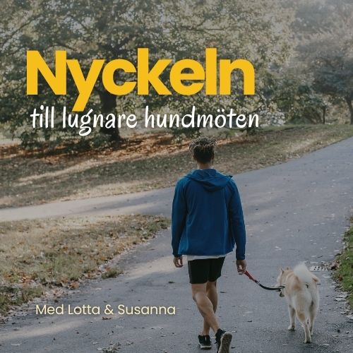 Nyckeln