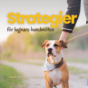 Strategi