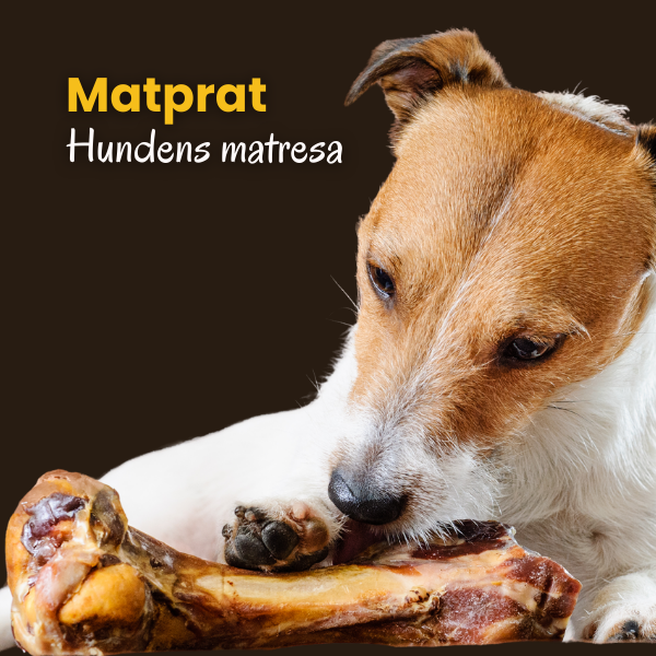 Matprat
