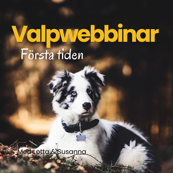 Valpwebb