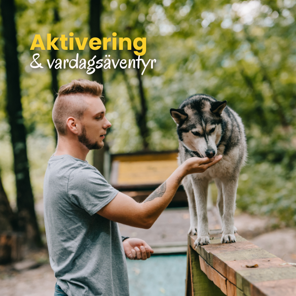 Äventyr & Aktivering