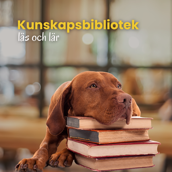 Kunskapsbibliotek