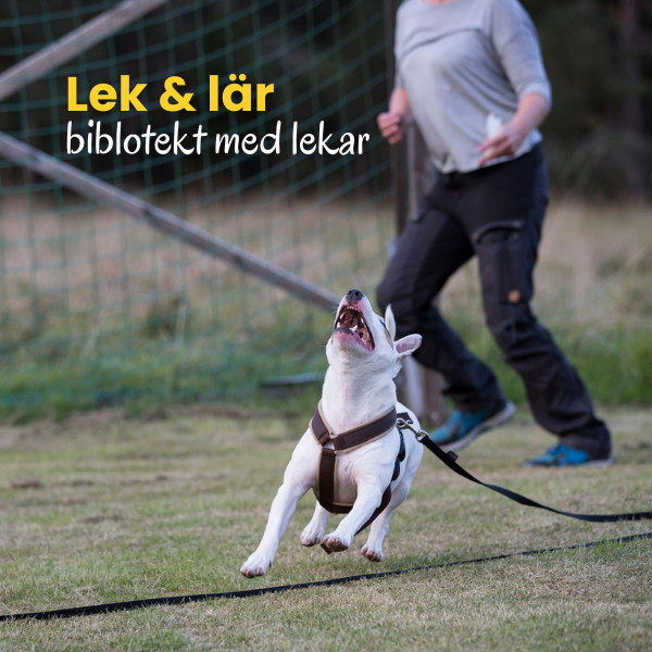 Lekbibliotek