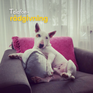 Telefonr