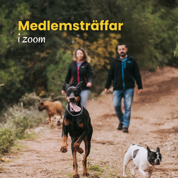 Gemensamma träffar