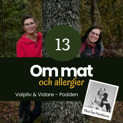 Med Åsa om hundens allergier