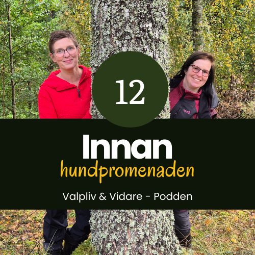 Innan hundpromenaden