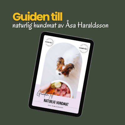 Guiden