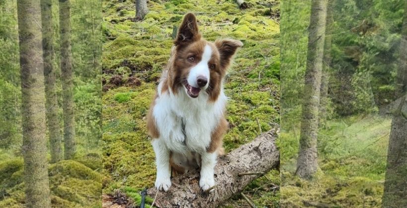 Friskvård – 9 saker du kan börja med redan idag