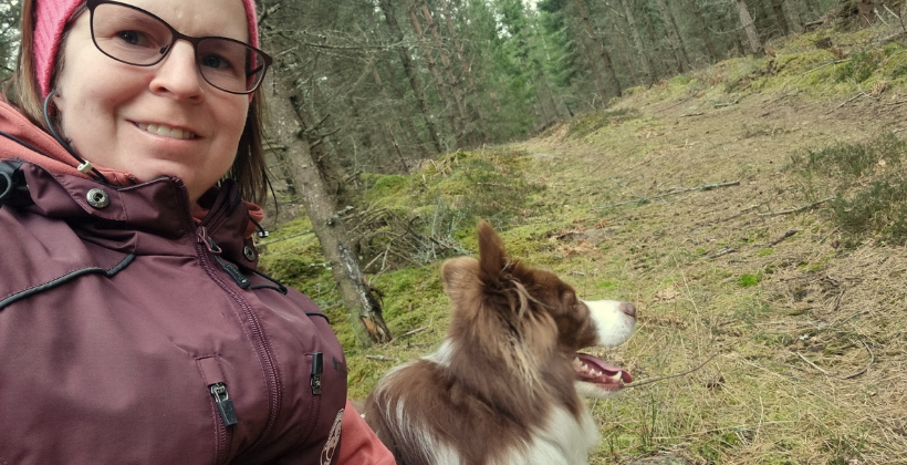 Skenande veterinärpriser