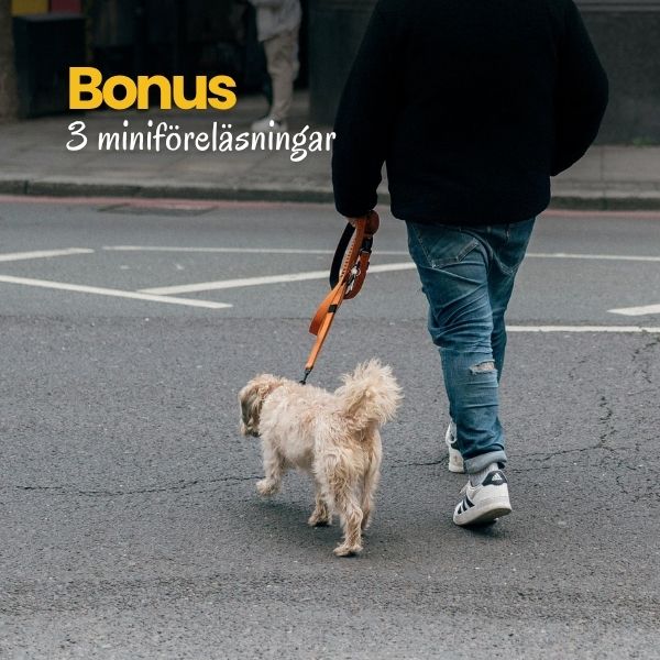 Bonus