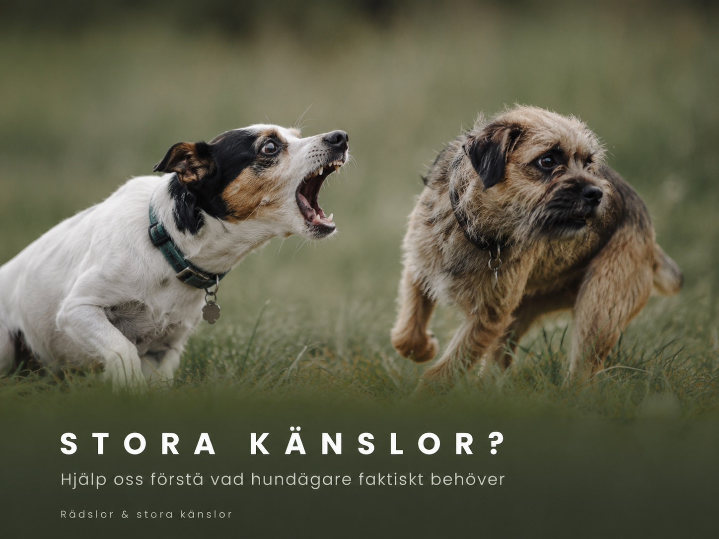Rädslor, stora känslor & kloka lösningar