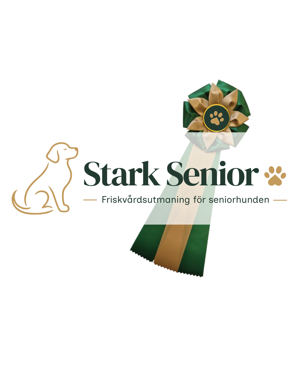 Seniorstark