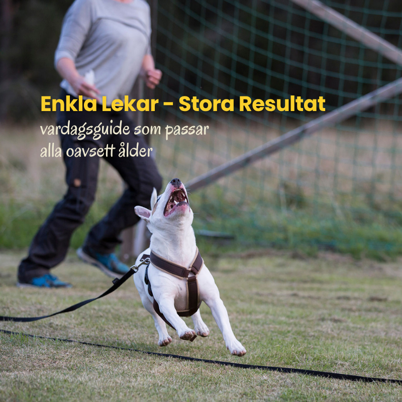 Enkla lekar – Stora resultat
