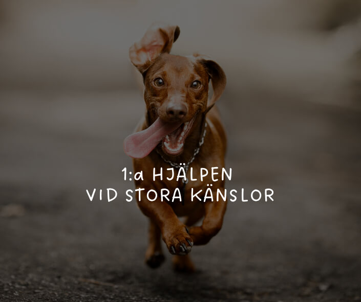Vi jobbar i tre steg